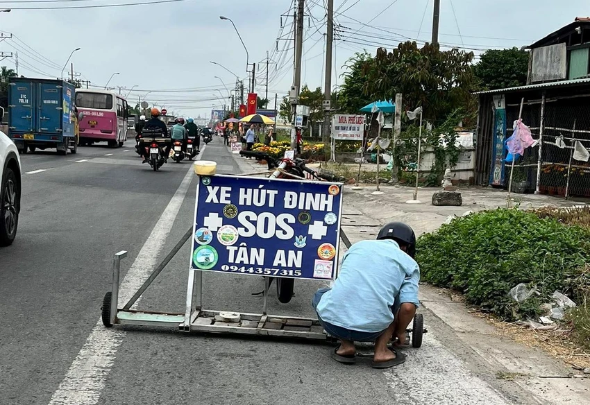 đinh tặc (4).jpg