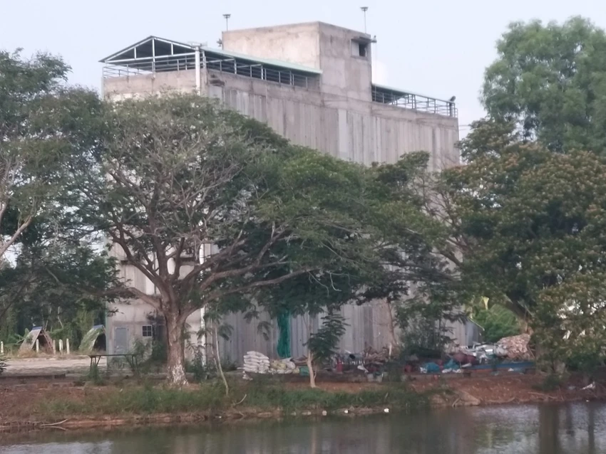 Làng Nổi Tân Lập.jpg