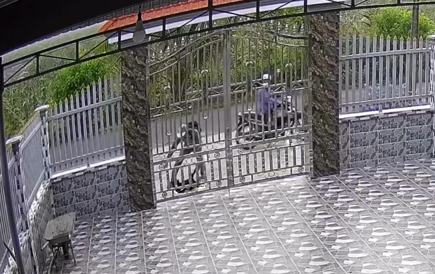 screenshot_1717390864.jpeg