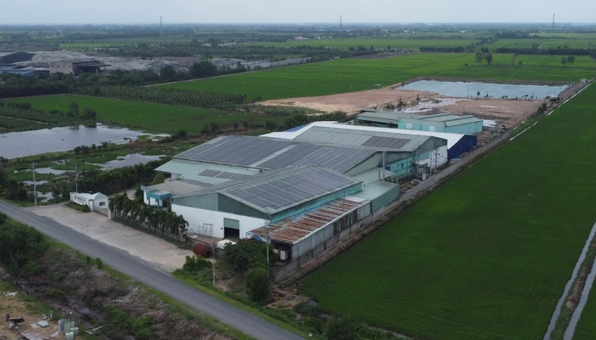 gây ô nhiễm môi trường (2).jpg