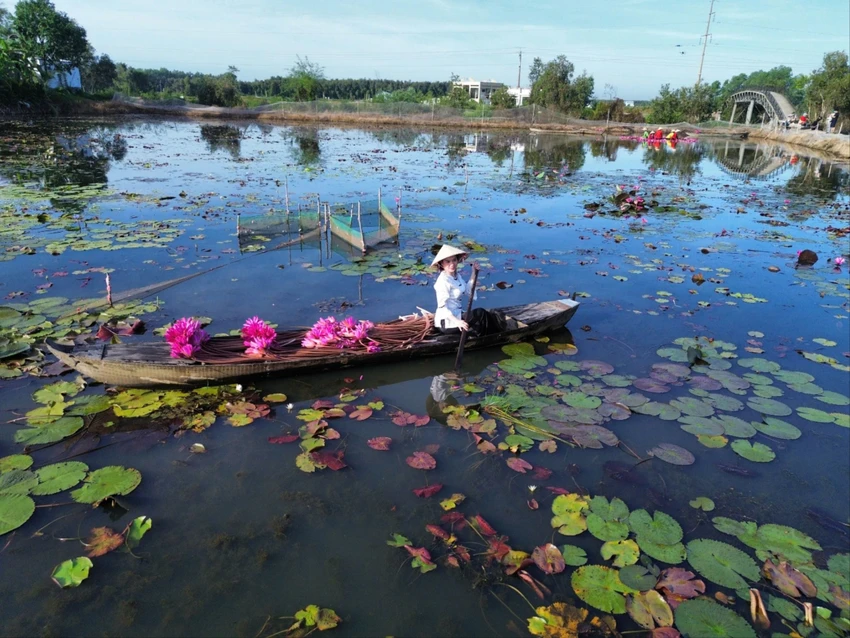 Tuần Văn hóa.jpg