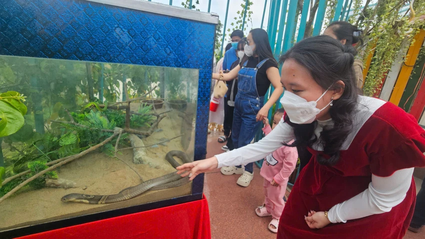 lượt du khách 6.jpg