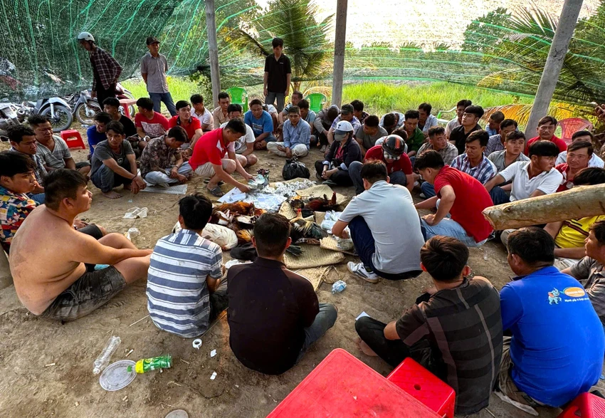 đá gà ăn tiền