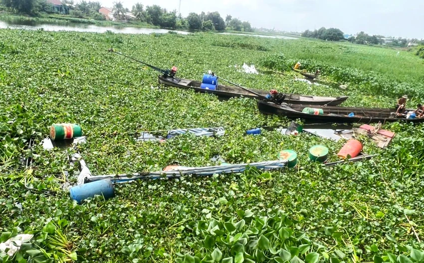 50 tấn lúa 2.jpg