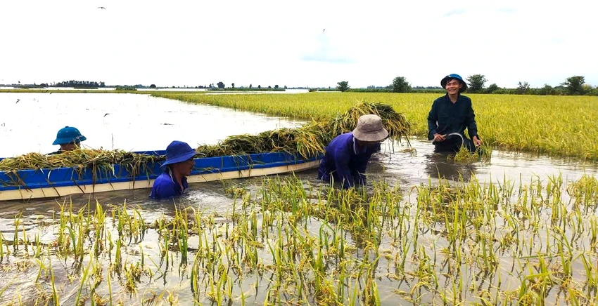 dân quân Tây Ninh 10.jpeg.jpg