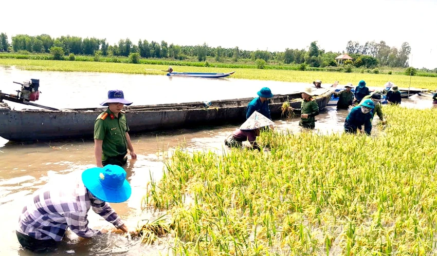 dân quân Tây Ninh 3.jpeg