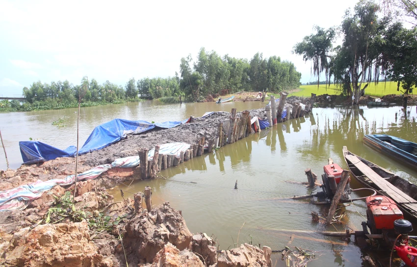 Đồng Tháp Mười 5.JPG