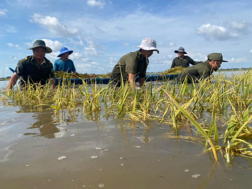 Ngập sâu ở Tây Ninh