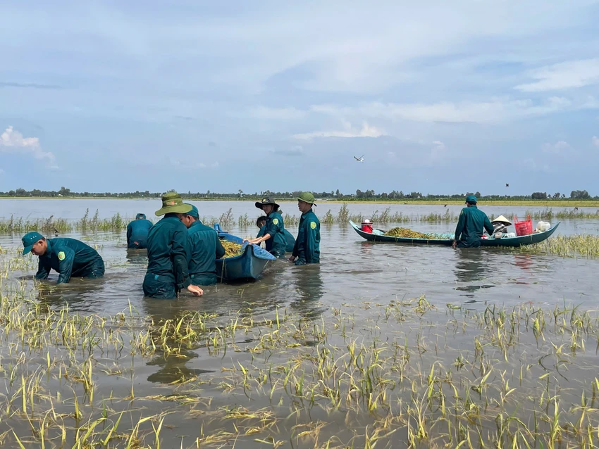 Ngập sâu ở Tây Ninh