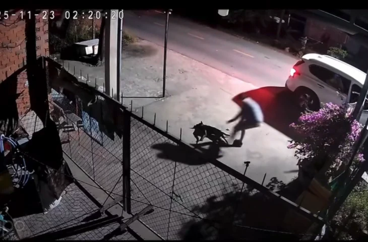 avatar-of-video-2373930.png