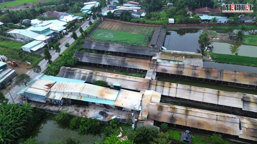 trại gà 2.JPG