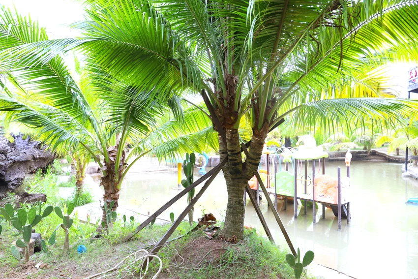 Cồn Én 22.JPG