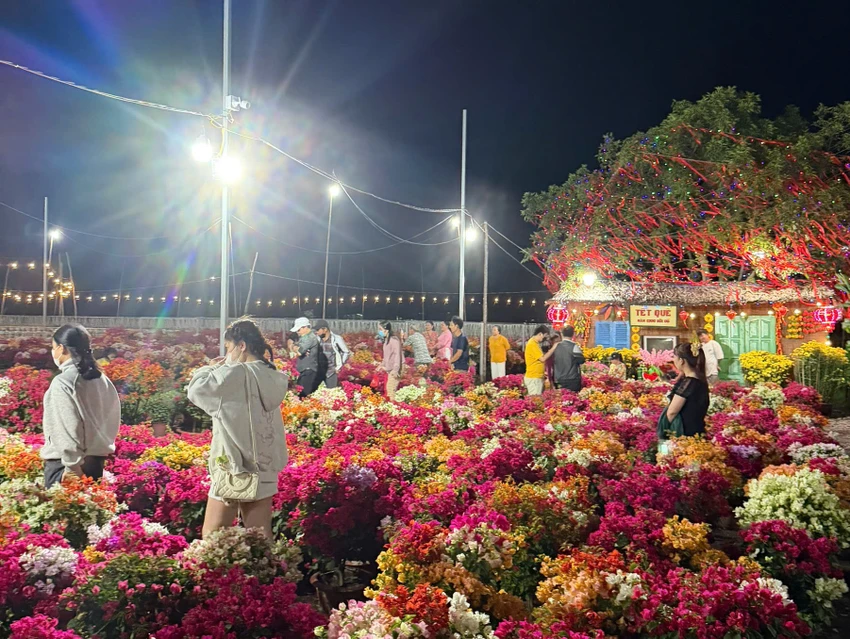 linh vật ngựa 8.jpg