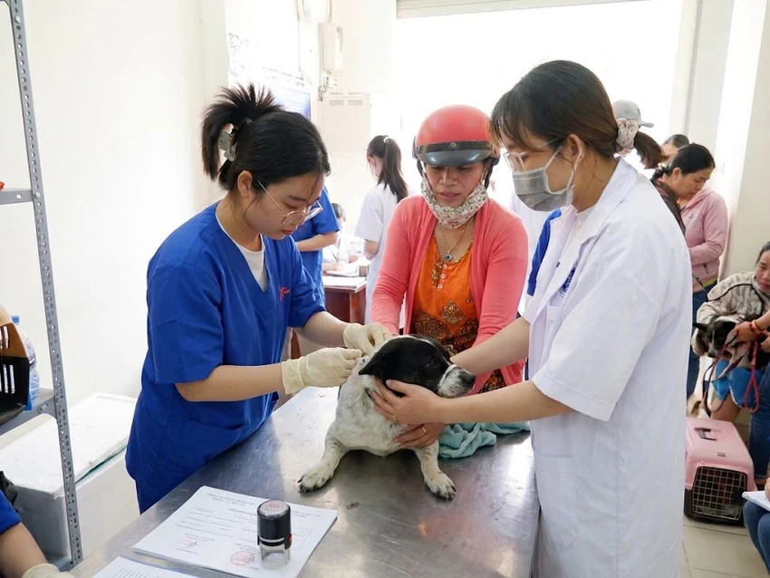 BỆNH DẠI 3.jpg