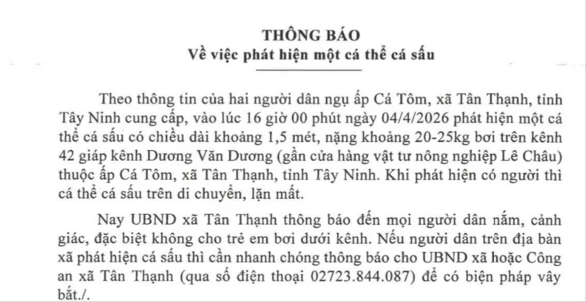 Thông báo của UBND xã Tân Thạnh về việc người dân phát hiện cá sấu nổi trên sông. Cá sấu.jpg