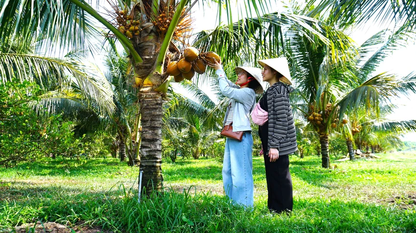 du lịch 3.jpg