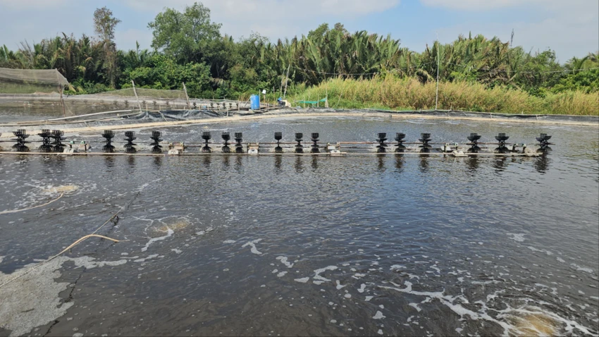 Điện giật.jpg