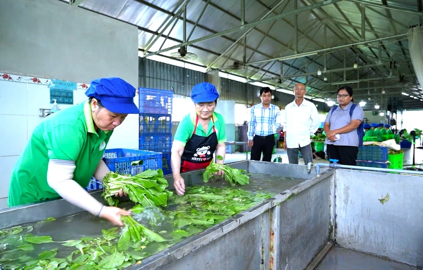 TAY NINH 6.jpg