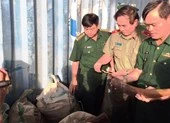 Phát hiện tàu chở 10 tấn ngà voi vào cảng Tiên Sa