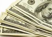 Giám đốc người Hàn Quốc trình báo mất 8.000 USD trên ô tô 
