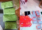 Con rể, con nuôi phụ mẹ vận chuyển, buôn bán ma túy