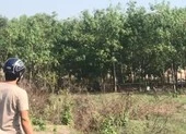Bình Dương: Một thi thể cháy đen cạnh xe máy có 2 nón bảo hiểm