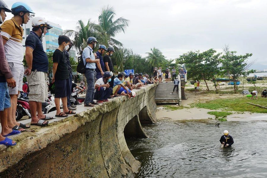 Người dân hiếu kỳ xem bắt cá và mua cá sau đó. Ảnh: HẢI HIẾU Người dân hiếu kỳ xem bắt cá và mua cá sau đó. Ảnh: HẢI HIẾU
