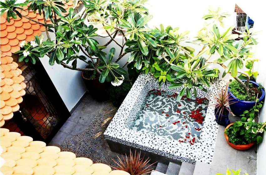Nhà của danh hài Thúy Nga: Nhìn mà... thèm! ảnh 6 Nhà của danh hài Thúy Nga: Nhìn mà... thèm! ảnh 6