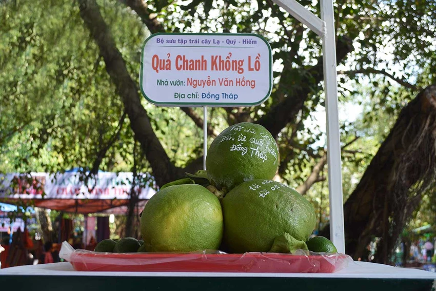 'Lễ hội Trái cây Nam Bộ 2016': Phong phú, đa dạng đủ loại trái cây ảnh 2 'Lễ hội Trái cây Nam Bộ 2016': Phong phú, đa dạng đủ loại trái cây ảnh 2