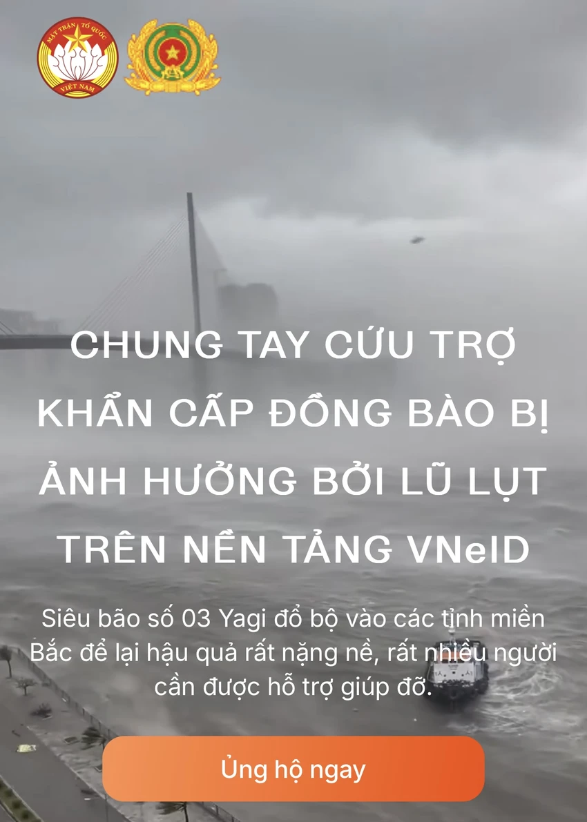 IMG_6054.jpeg