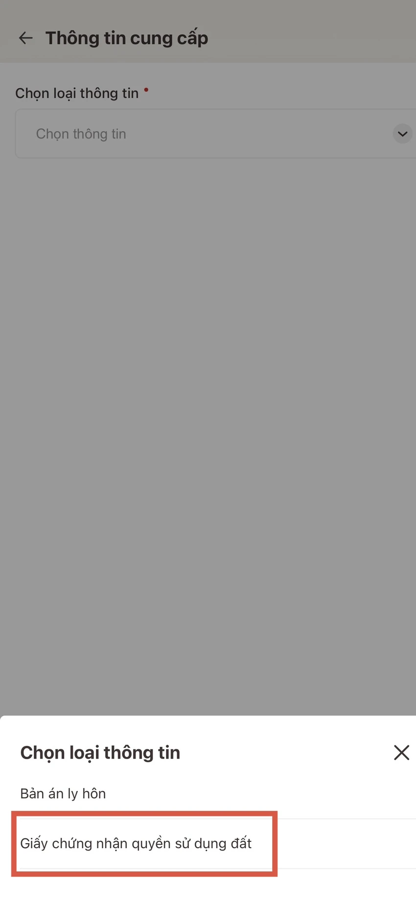 IMG_5473.jpeg