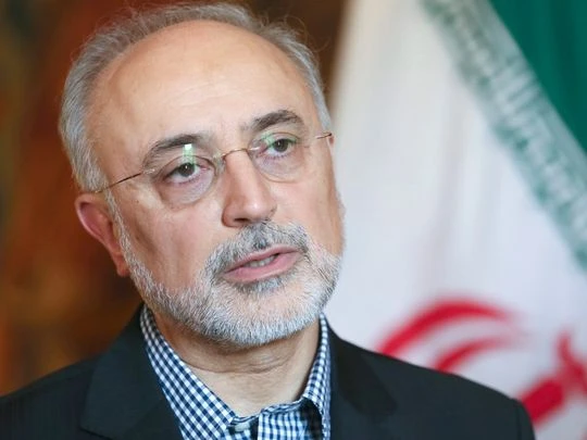 Phó Tổng thống và Giám đốc Tổ chức Năng lượng Nguyên tử Iran Akbar Salehi tại Bỉ ngày 14-9. 