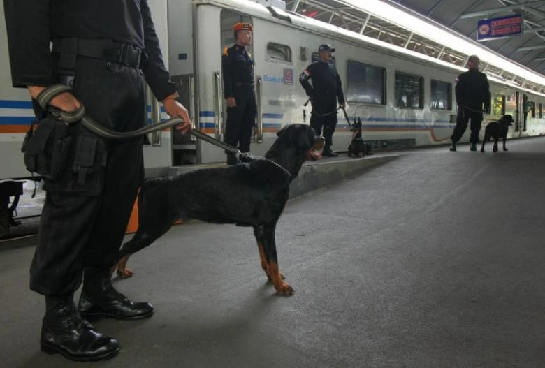 Cảnh sát Indonesia và chó nghiệp vụ tuần tra tại Surabaya (East Java, Indonesia) ngày 23-12. Ảnh: REUTERS