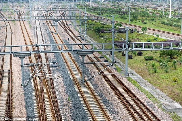 Cuộc hành trình từ Trung Quốc tới Anh kéo dài 12.000 km. Ảnh: DAILY MAIL