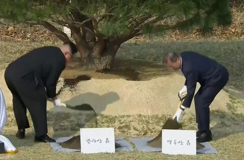 Tổng thống Hàn Quốc Moon Jae-in (phải) bồi đất lấy từ núi Baekdu ở Triều Tiên, và lãnh đạo Triều Tiên Kim Jong-un bồi đất lấy từ núi Halla ở Hàn Quốc vào cây thông mọc từ năm 1953 ở đường phân giới quân sự liên Triều chiều 27-4. Ảnh: REUTERS