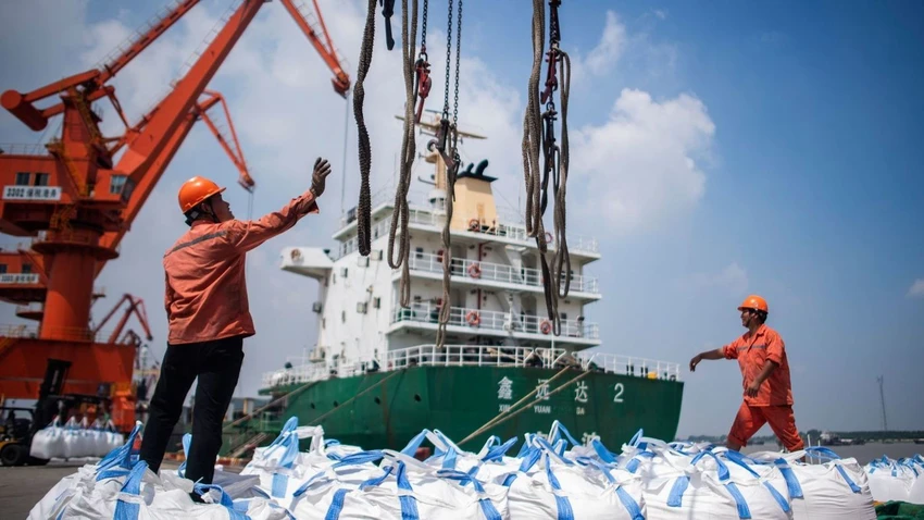Công nhân dỡ hàng tại Trương Gia cảng ở tỉnh Giang Tô (Trung Quốc) ngày 7-8. Ảnh: AFP