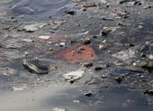 Rơi máy bay Indonesia: Vớt được 10 thi thể, không có phép màu…