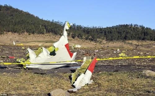 Hiện trường tai nạn của chiếc Boeing 737 MAX 8 của hãng Ehiopian Airlines rơi ở Ethiopia ngày 29-10-2018. Ảnh: SAHARA REPORTERS