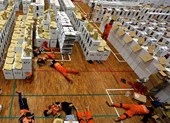 Hé lộ nguyên nhân cái chết của 92 nhân viên kiểm phiếu bầu cử 