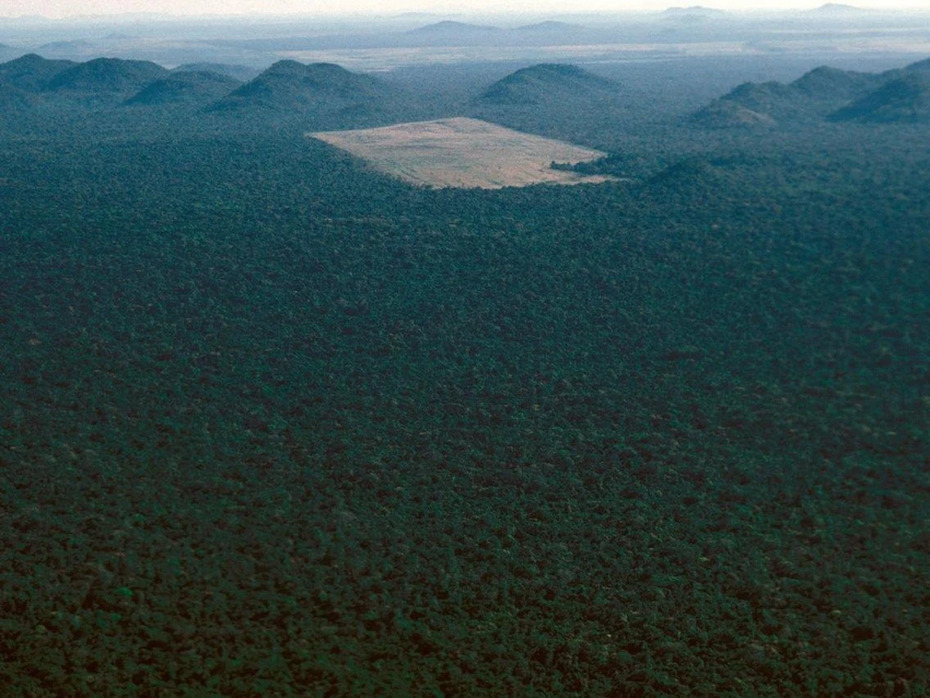 Một khoảnh rừng Amazon ở Brazil bị phát quang năm 1983. Ảnh: GETTY IMAGES