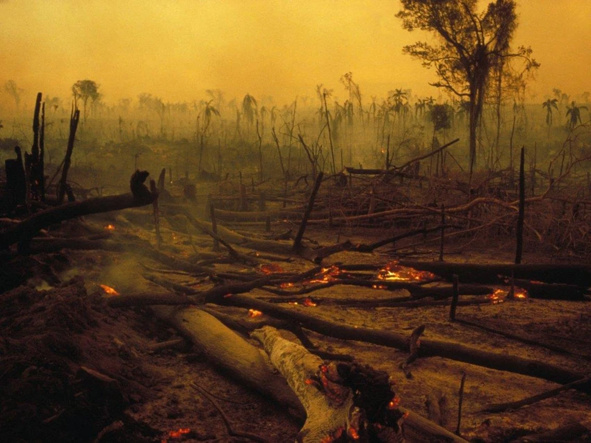 Một đám cháy rừng Amazon năm 1990. Ảnh: GETTY IMAGES