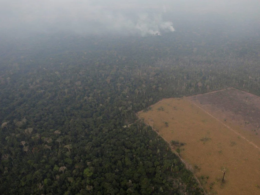 Khói cháy rừng Amazon gần TP Porto Velho ở bang Rondonia (Brazil) ngày 21-8. Ảnh: REUTERS