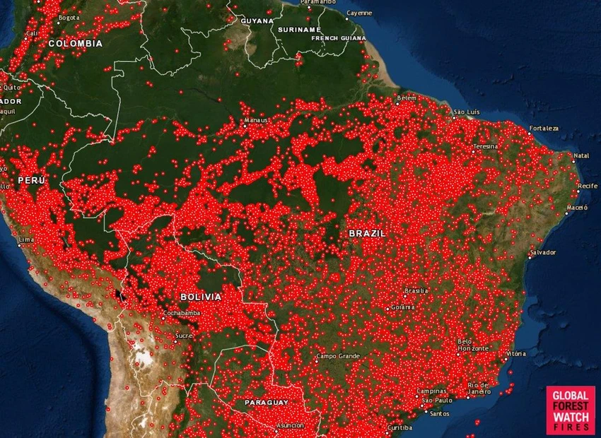 Rừng mưa Amazon trải dài qua các nước Brazil, Peru, Colombia, Ecuador, Bolivia, Venezuela. Các mảng màu đỏ trong bản đồ các đám cháy ở rừng Amazon kể từ ngày 13-8 đến nay. Ảnh: GLOBAL FIRE WATCH