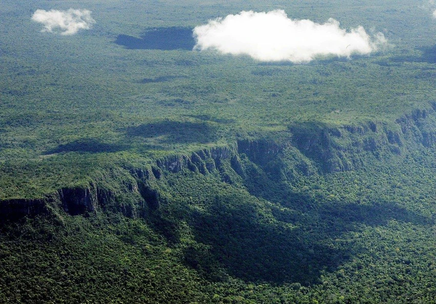 Rừng Amazon ở bang Mato Grosso (Brazil) – một trong những bang có tốc độ phát quang rừng nhanh nhất – thời điểm tháng 5-2005. Ảnh: REUTERS