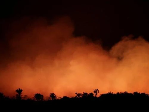 Một dải rừng Amazon gần TP Humaita, bang Amazonas (Brazil) cháy đỏ ngày 17-8. Ảnh: REUTERS
