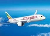 Máy bay chở 157 người rơi ở Ethiopia 