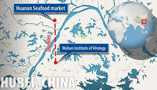 Phòng thí nghiệm chỉ cách khu chợ nơi phát hiện dịch ở Vũ Hán hơn 30km. Ảnh: DAILY MAIL