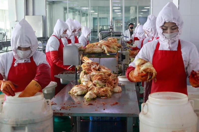 Bên trong Triều Tiên đang phong tỏa vì COVID-19 thế nào? ảnh 11