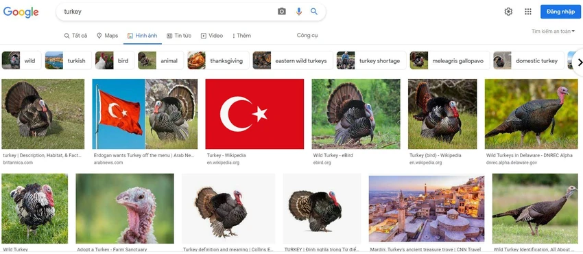 Tra từ Turkey trong trang tìm kiếm Google phần lớn cho ra hình ảnh con gà tây. Ảnh: GOOGLE Tra từ Turkey trong trang tìm kiếm Google phần lớn cho ra hình ảnh con gà tây. Ảnh: GOOGLE