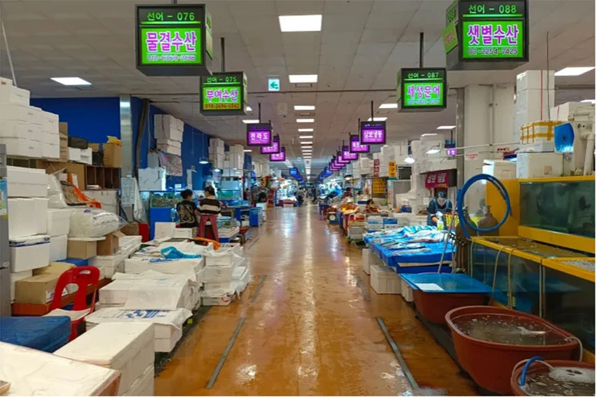 Tiểu thương một chợ cá ở Seoul (Hàn Quốc) lo việc buôn bán bị ảnh hưởng sau thông tin Nhật xả nước thải phóng xạ đã qua xử lý từ nhà máy Fukushima ra biển. Ảnh: AL JAZEERA Tiểu thương một chợ cá ở Seoul (Hàn Quốc) lo việc buôn bán bị ảnh hưởng sau thông tin Nhật xả nước thải phóng xạ đã qua xử lý từ nhà máy Fukushima ra biển. Ảnh: AL JAZEERA